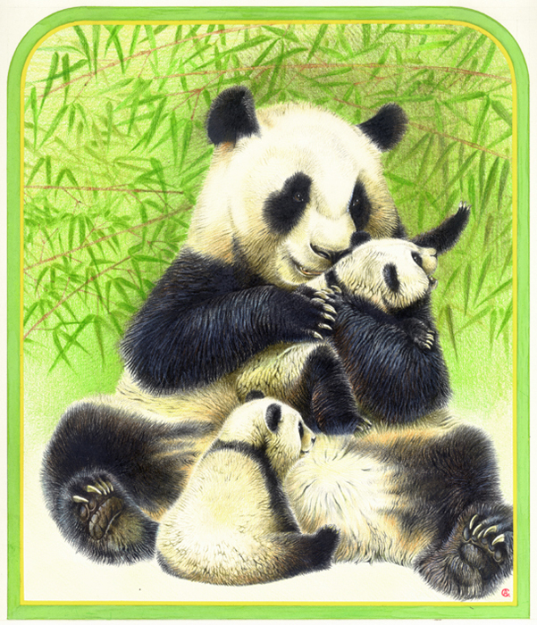 Панда с детенышами