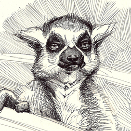 весна пришла