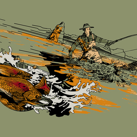 горбуша идет