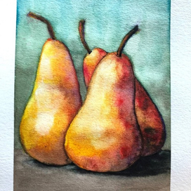 Груши на голубом фоне