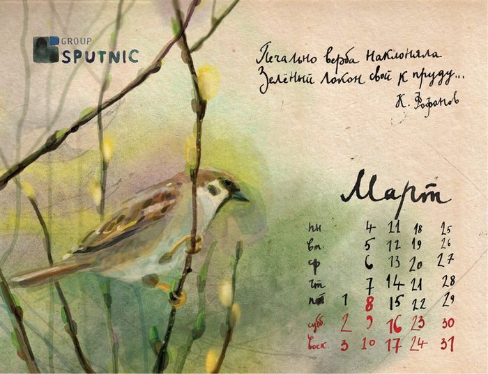 Март. Верба. Воробей.