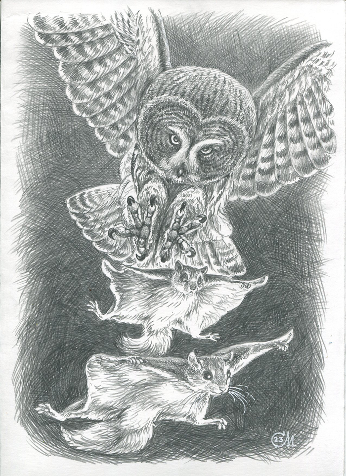 Фигурное летание