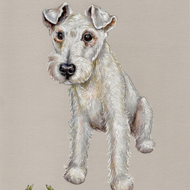 Портрет питомца. Цезарь.