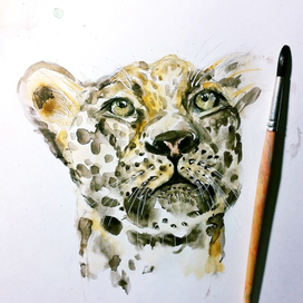 Леопардовое настроение