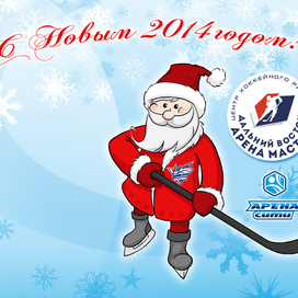 Дед Мороз хоккеист