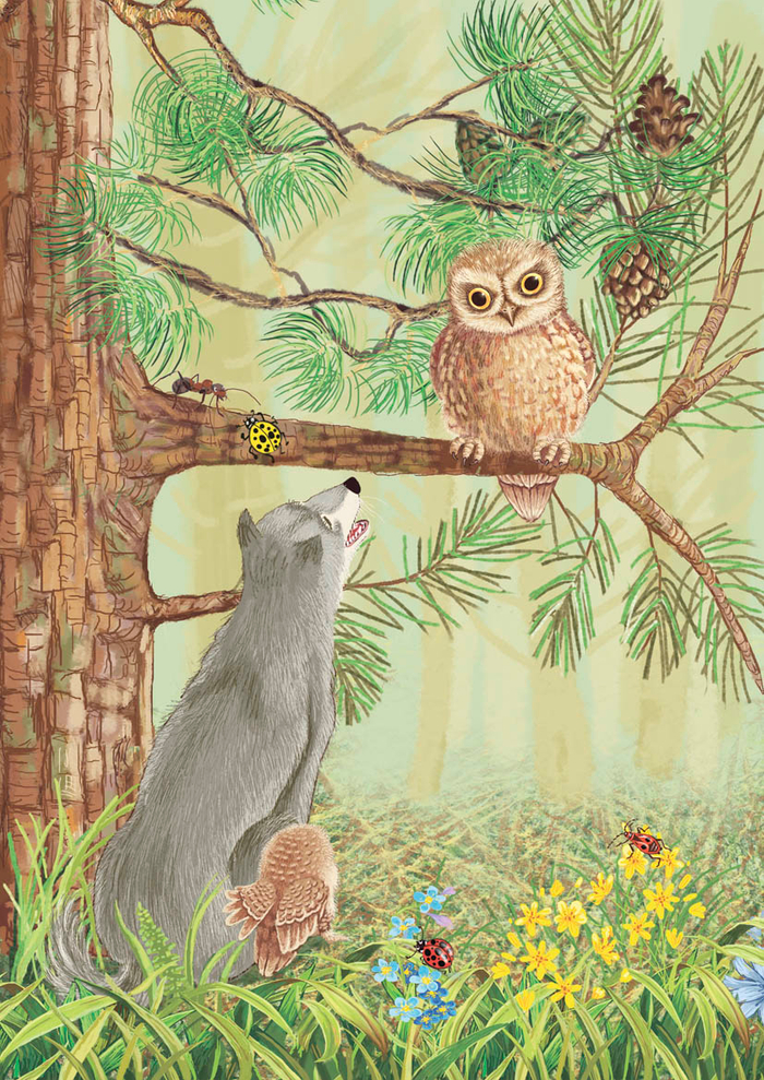 Серый волк привез совенка маме сове.