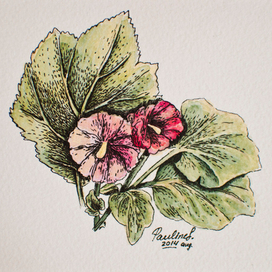 Мальвы\ открытка 2014