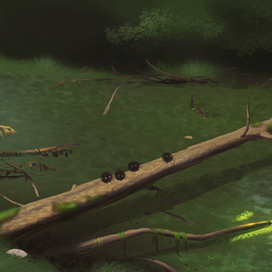 Тихая заводь