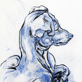 Тимка слушает шаги