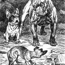 Он потерялся.