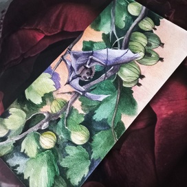 Летучая мышь и крыжовник