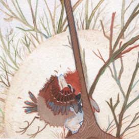 "Чирик". Авторская книжка