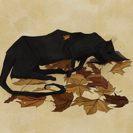 the black cat