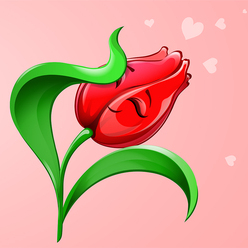 Влюблённый тюльпан