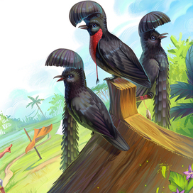 Умджи и необычные яйца