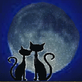 Зачарованные  луной