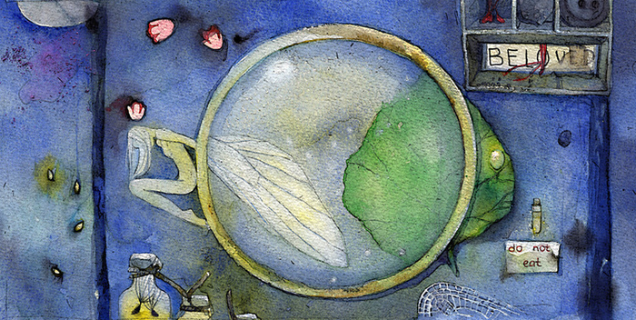 "Странная лупа"