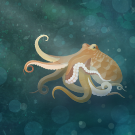 Тотемное животное - осьминог!