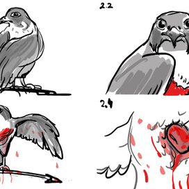 Раскадровки