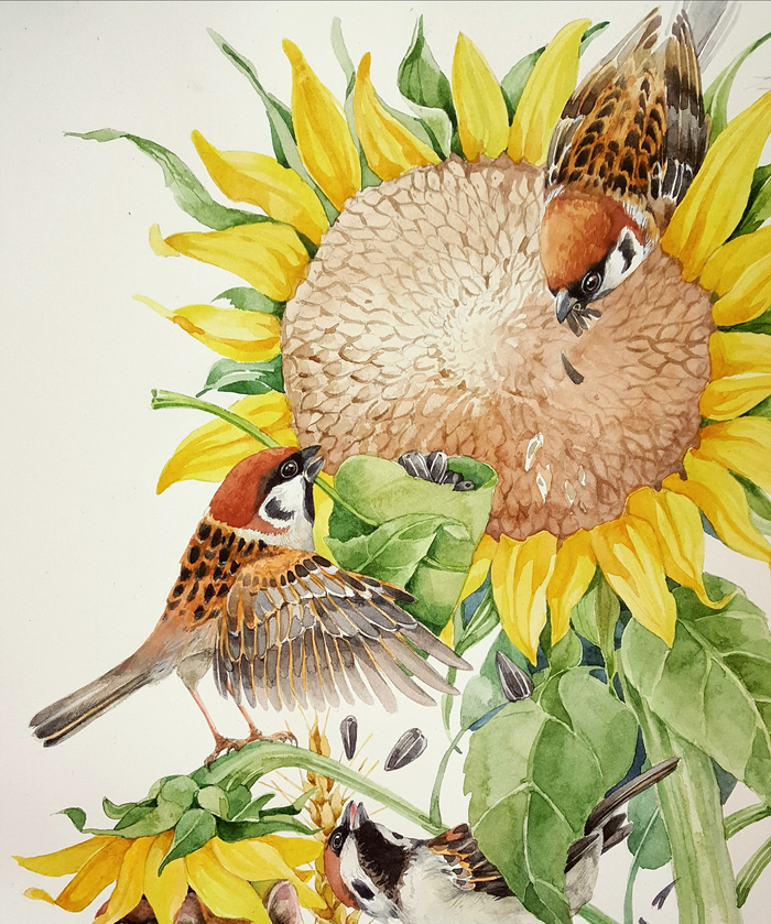 Воробушки полевые. Эскиз