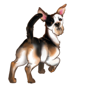 Для благотворительного фонда защиты животных