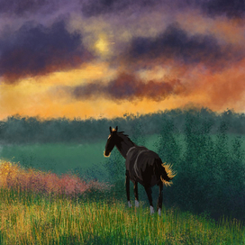 Лошадь и закат