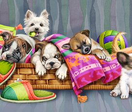 корзина с щенятами