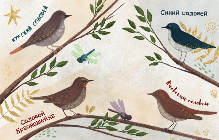 Книжная иллюстрация, разворот «Соловьи»