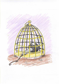 всяко разно