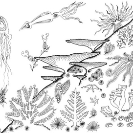 Морское дно