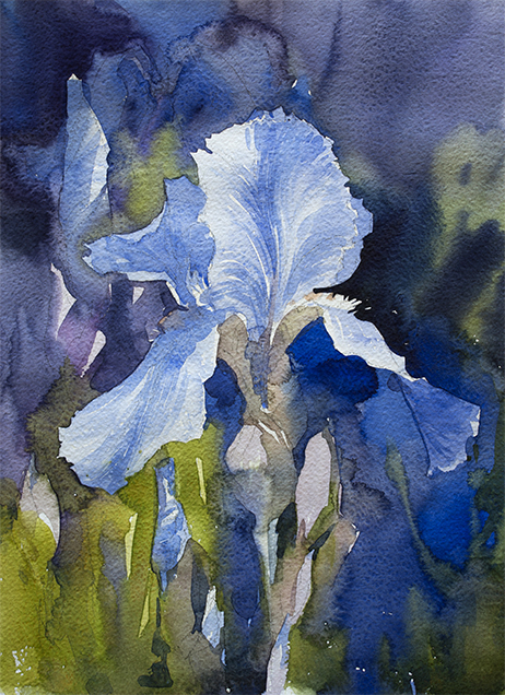 "Лазурный ирис"