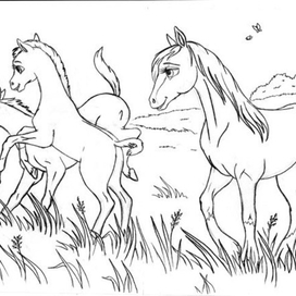 Ребятки жеребятки