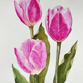 Розовое настроение 