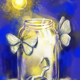 мотыльки на свету