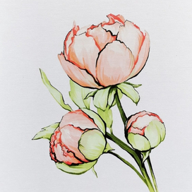 Pion