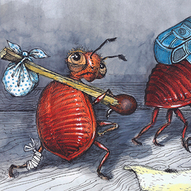 "Как папа клопов гонял"