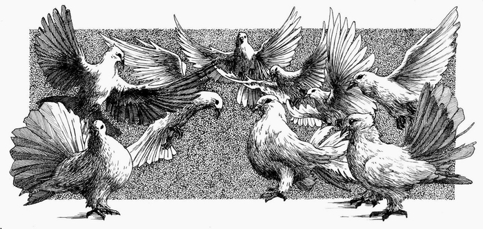 Семирамида. 3-Ф