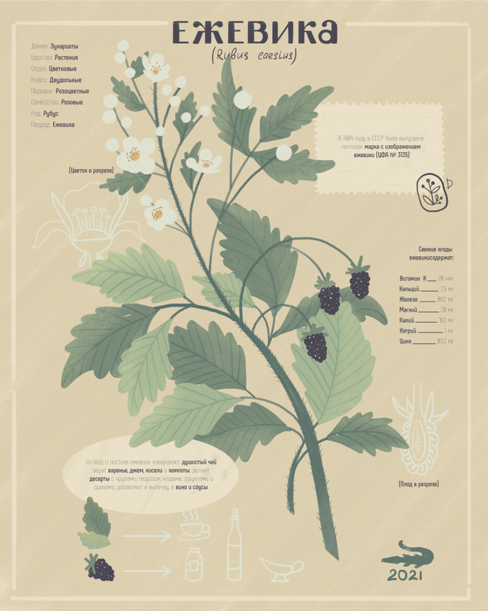 Страница из энциклопедии 