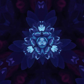 Kaleidoscopic Flower