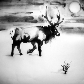 Строго на север