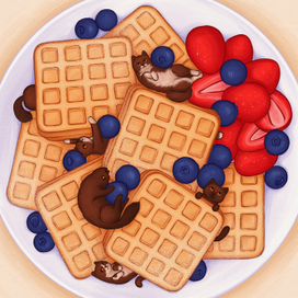 Cat’s waffles