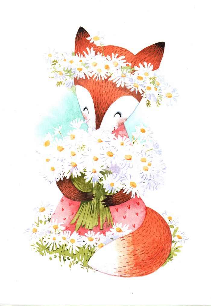 я люблю ромашки