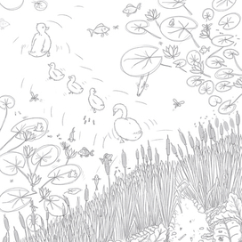 Лайн "Гадкий Утенок"