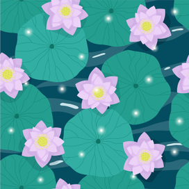 Лотосы на воде