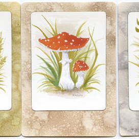 АСЕО - грибы