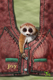 Принт на детскую футболку!)))