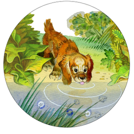 Е. Чарушин "Про Томку" изд. "Малыш"