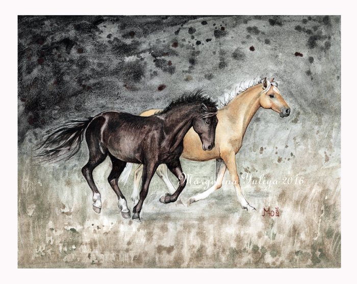 Вороной и соловый