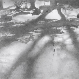 Солнечный свет на снегу