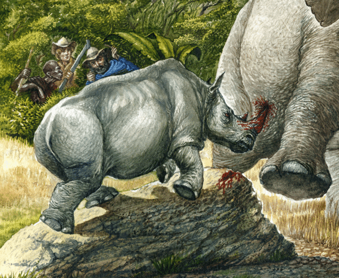 Фрагмент иллюстрации к книге Майн Рида "В дебрях Южной Африки"